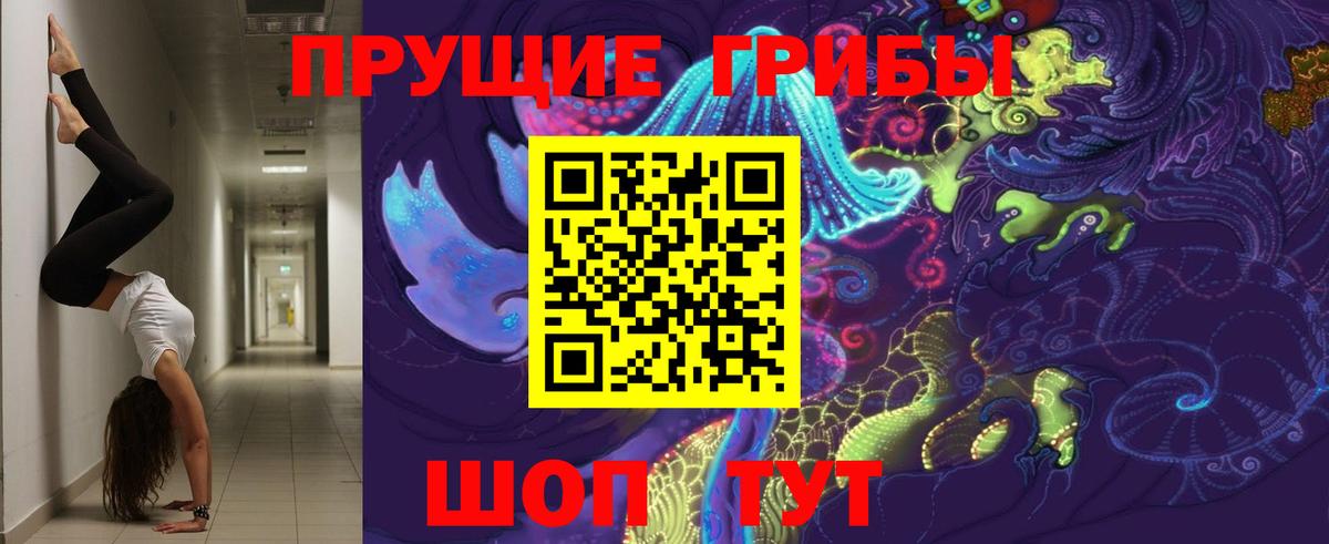 Псилоцибиновые грибы Psilocybine cubensis Северобайкальск