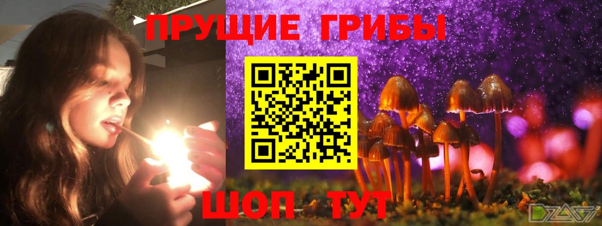 Галлюциногенные грибы GOLDEN TEACHER  цена   Северобайкальск  Вход с VPN 